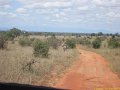 Kenya Safari Tsavo Est et Ouest 057